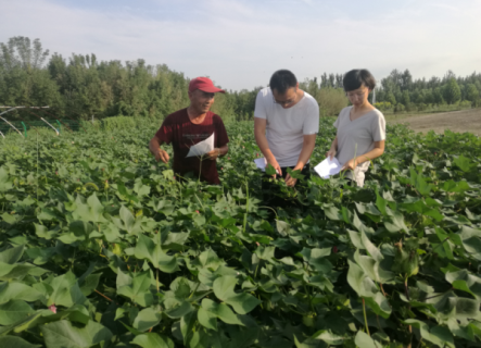 邱县:助力秋粮生长管理为农服务很贴心...